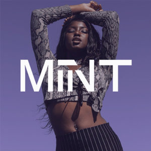 Logotipos inspiradores, por la diseñadora e ilustradora Tania Izquierdo 13 Logo de Mint