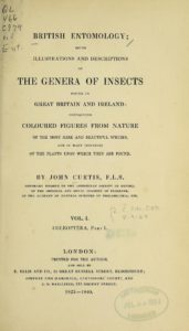 Ilustraciones científicas de John Curtis