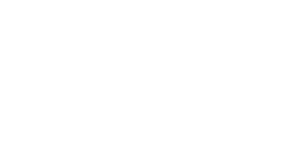 Programa Avanzado en Story Art 5 TOP 25 del mundo en formación para Animación. Fuente: Ranking Animation Magazine
