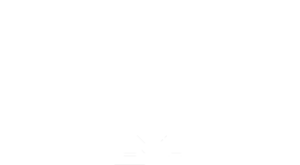EN_sello-big-9-blanco-desktop.png